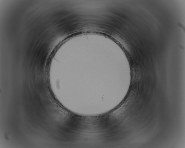 X0000095690832200801221245