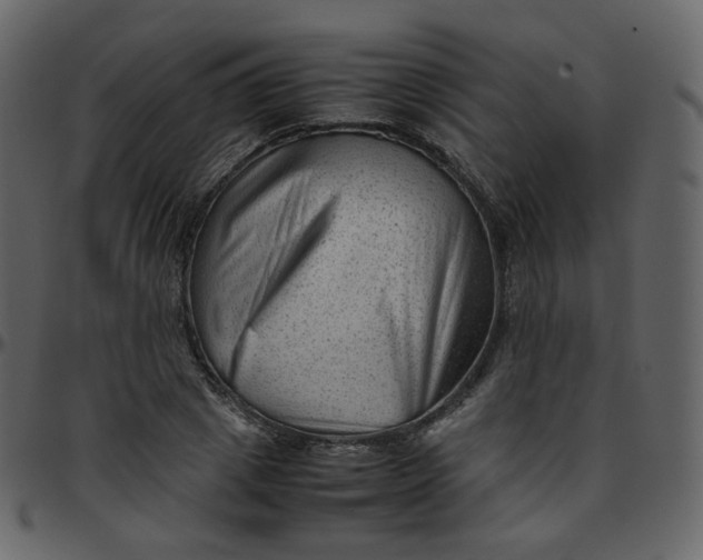 X0000095690833200801221245