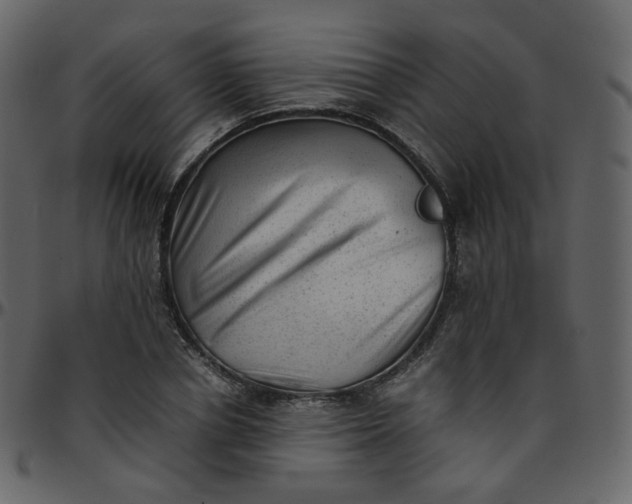 X0000095690834200801221245