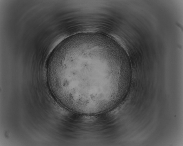 X0000095690835200801221245