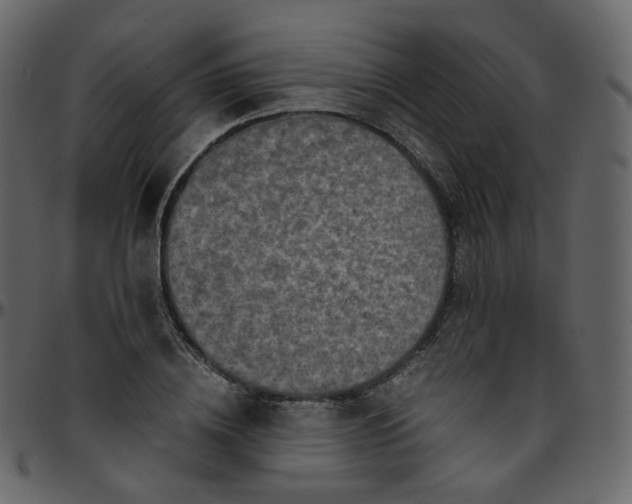 X0000095690836200801221246