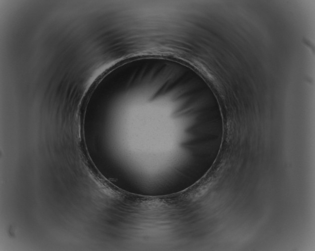 X0000095690838200801221246