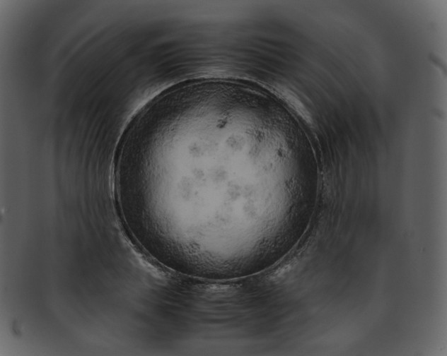 X0000095690839200801221246