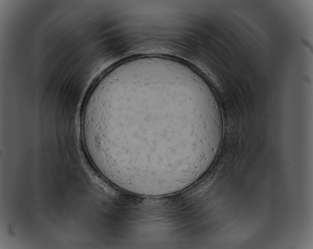 X0000095690840200801221246