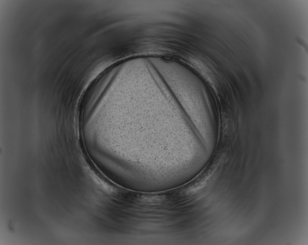 X0000095690843200801221246