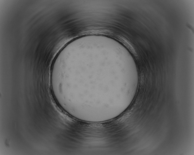 X0000095690844200801221246