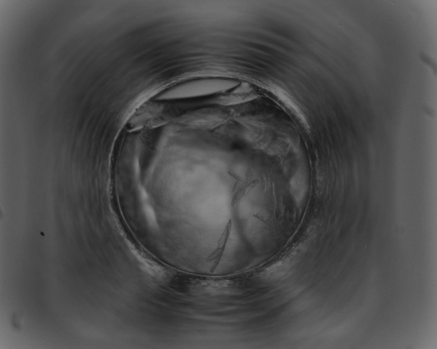 X0000095690845200801221246