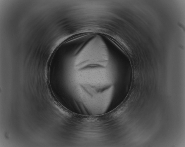 X0000095690846200801221246