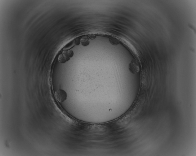 X0000095690847200801221246