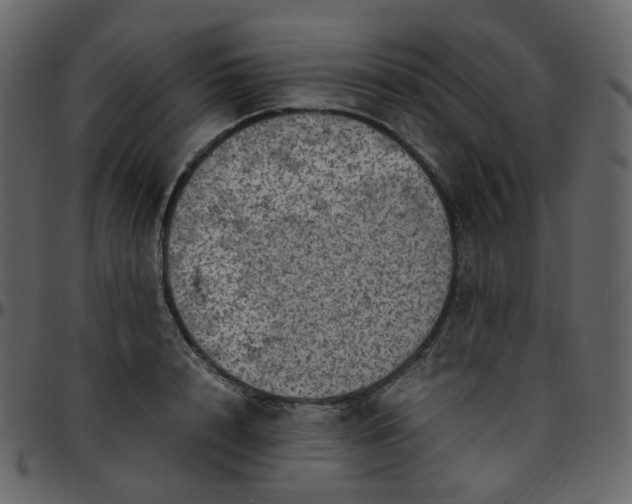 X0000095690848200801221246