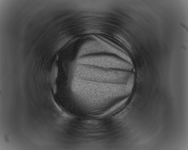 X0000095690849200801221246