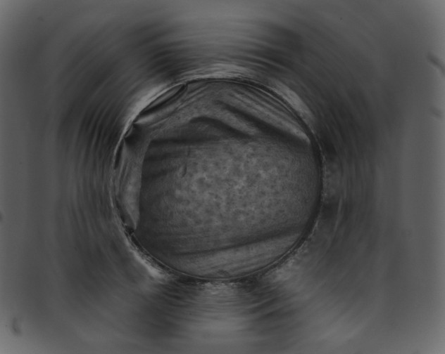 X0000095690850200801221246