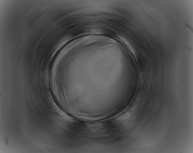 X0000095690851200801221246