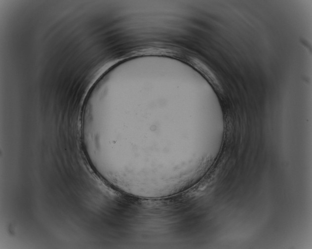 X0000095690852200801221246