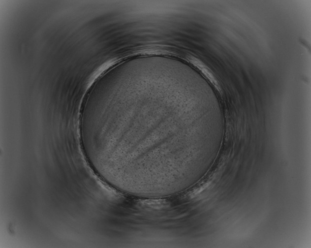 X0000095690853200801221246