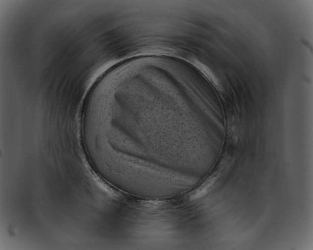 X0000095690854200801221246