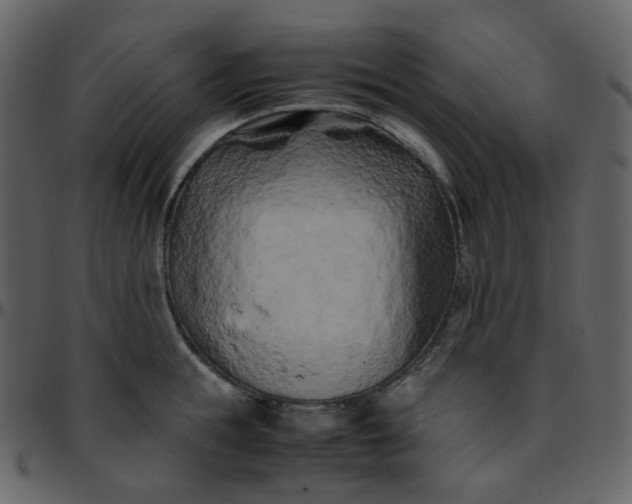 X0000095690855200801221246