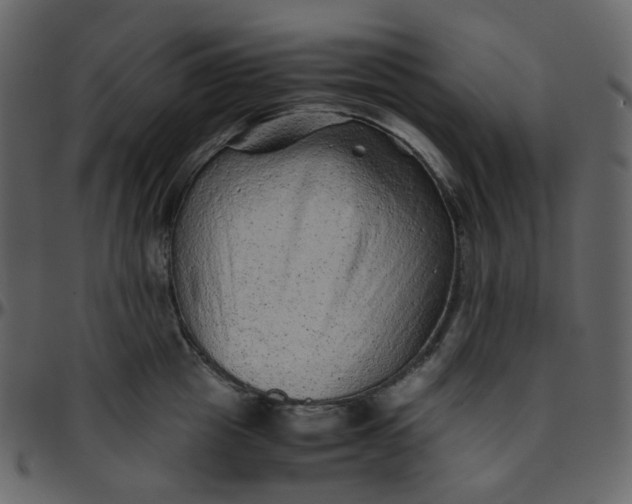 X0000095690857200801221246