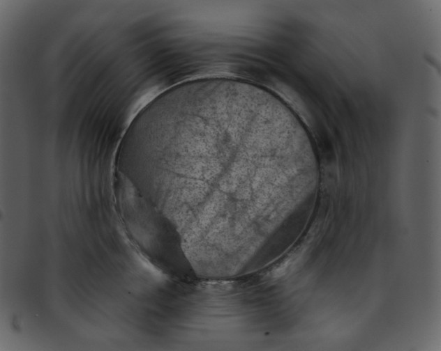 X0000095690858200801221246