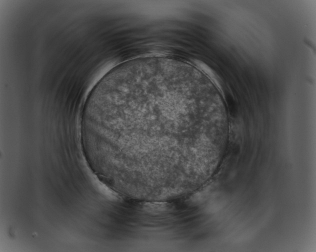 X0000095690859200801221246