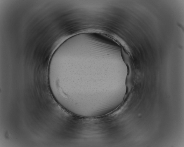 X0000095690860200801221246