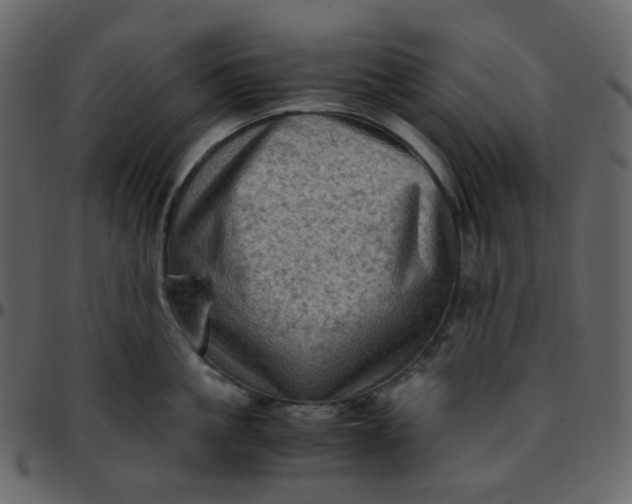 X0000095690861200801221246