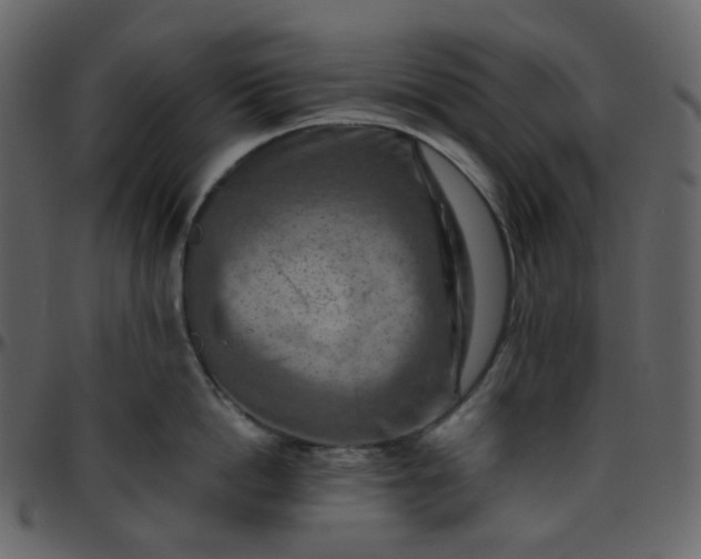 X0000095690862200801221246