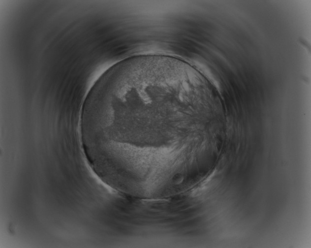 X0000095690863200801221246