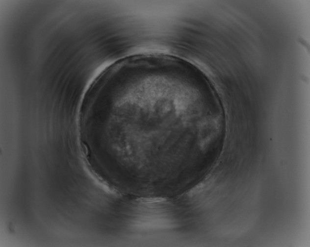 X0000095690864200801221246