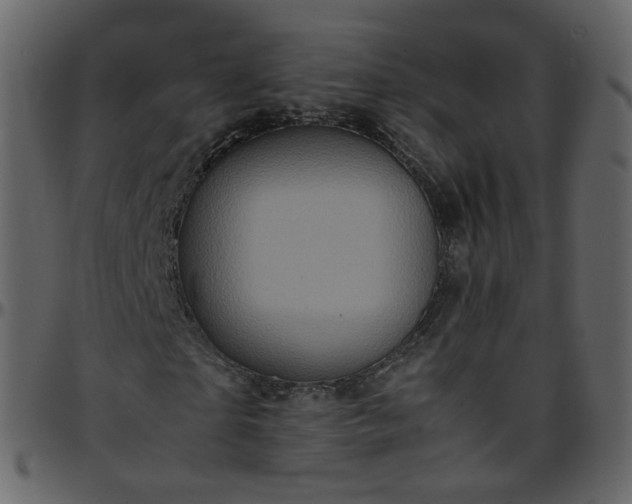 X0000095690865200801221245