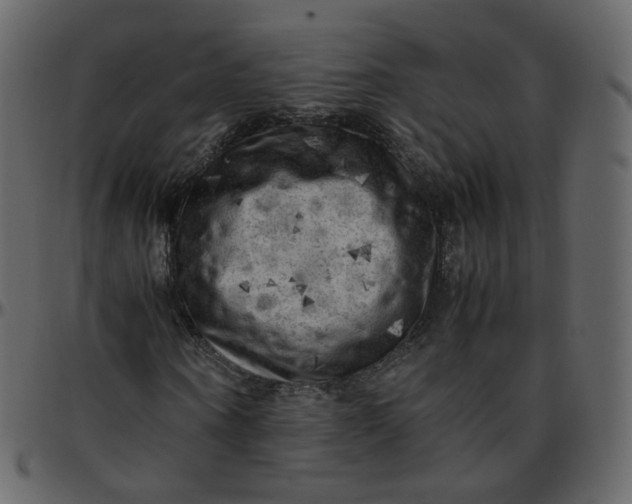 X0000095690866200801221245