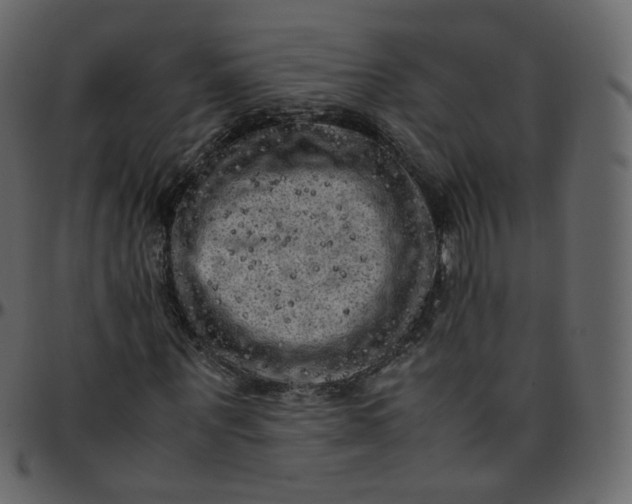 X0000095690867200801221245