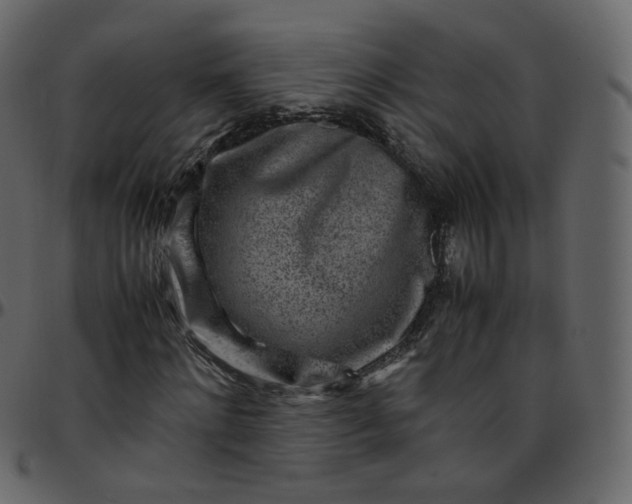 X0000095690868200801221245