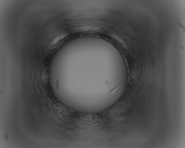 X0000095690869200801221245