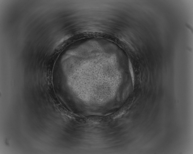 X0000095690870200801221245