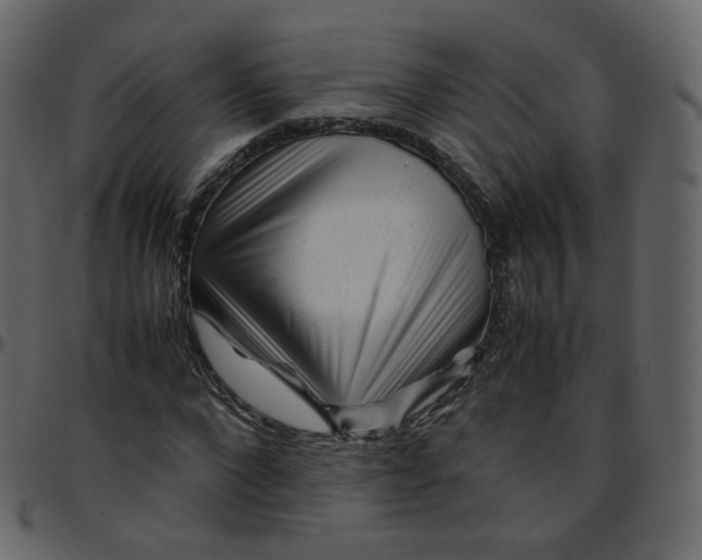 X0000095690872200801221245