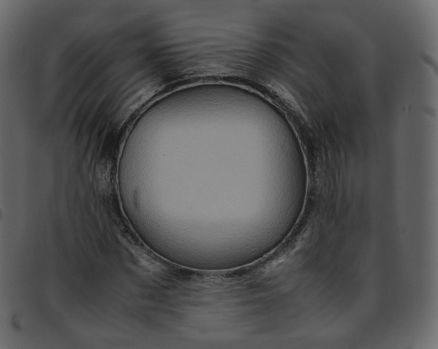 X0000095690873200801221245