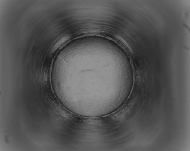 X0000095690874200801221245