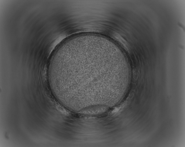 X0000095690875200801221245