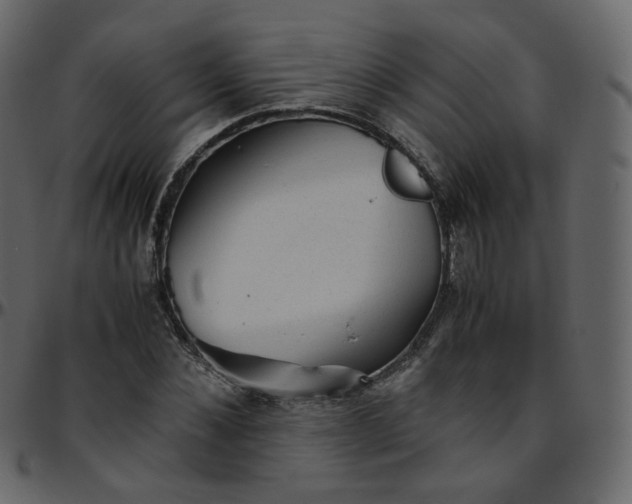 X0000095690876200801221245