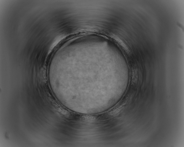 X0000095690878200801221245