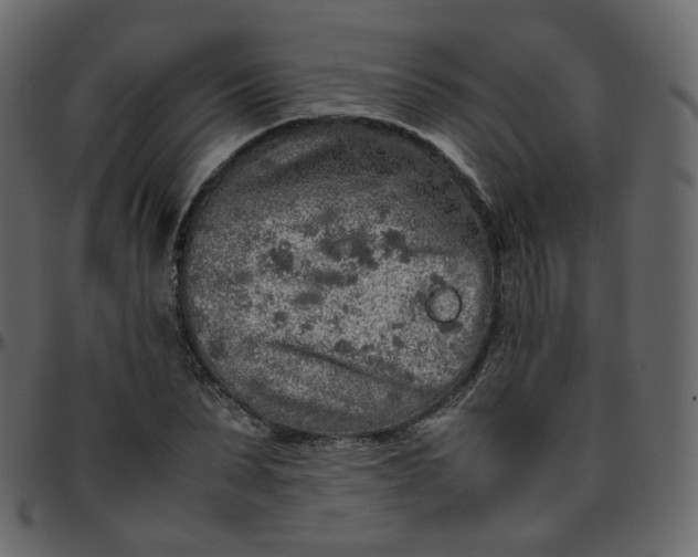 X0000095690879200801221245