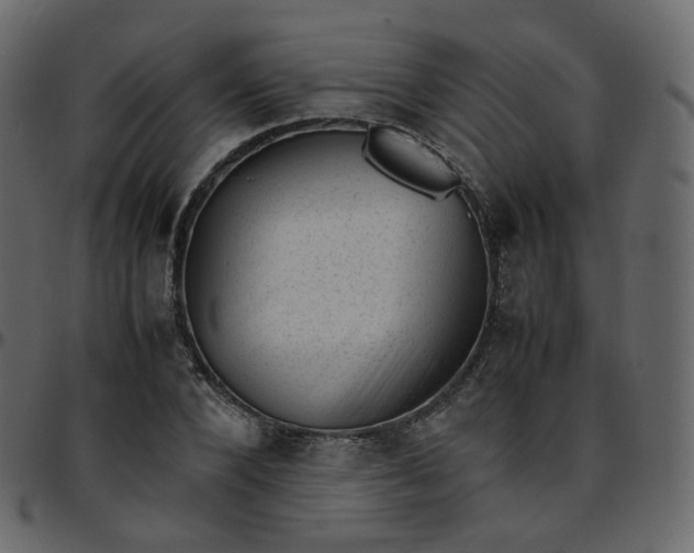 X0000095690880200801221245