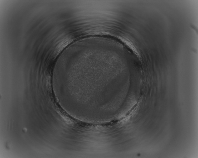 X0000095690881200801221245