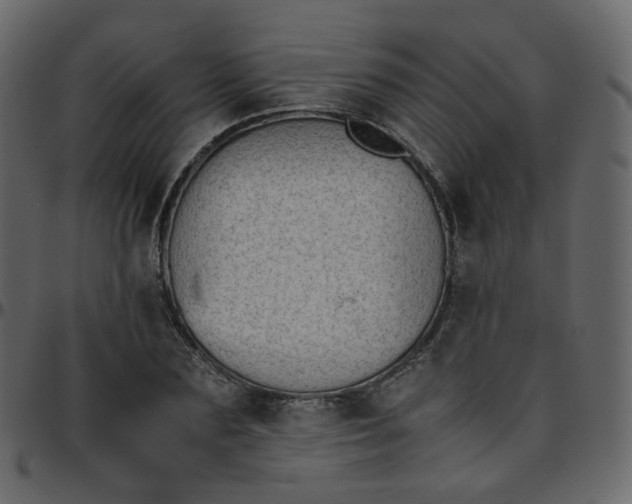 X0000095690883200801221245