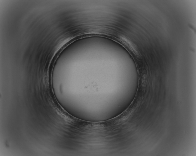 X0000095690884200801221245