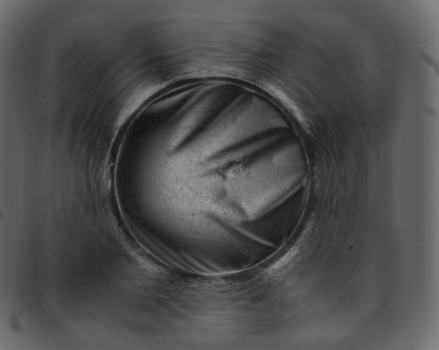 X0000095690885200801221245