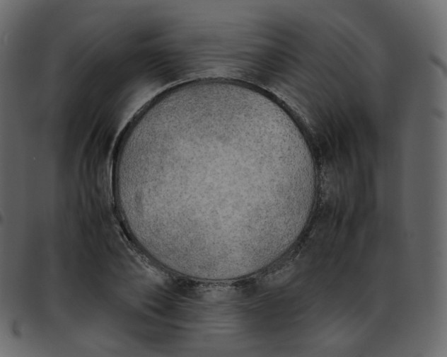 X0000095690886200801221245