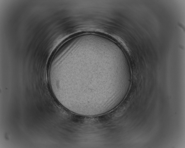 X0000095690887200801221245