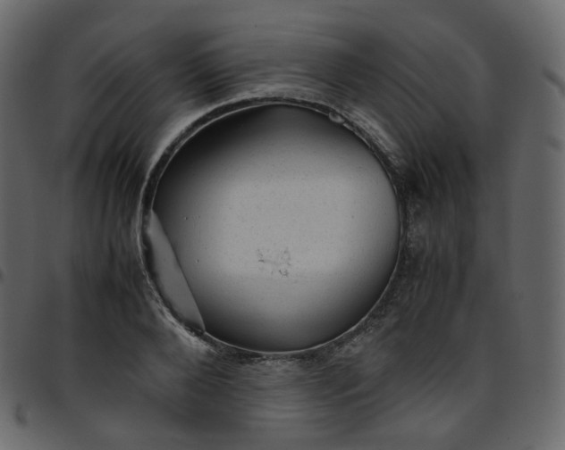 X0000095690888200801221245